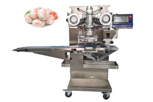 PAPA Machine encrusting and co-extruding machine