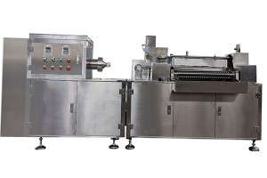 Large capacity date protein ball rolling machine in India