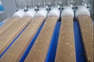 Multiple row protein bar machine