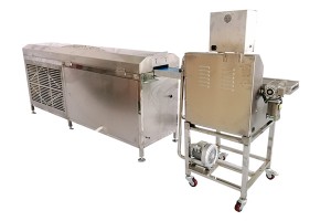 Customized new design chocolate coating machine in mumbai