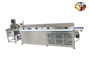 8KG small chocolate enrober machine for protein bar and cake