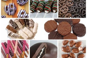 Conyer lines for chocolate enrobing equipment
