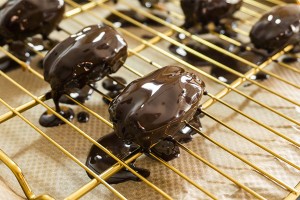 PAPA Machine tabletop chocolate enrober