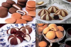 Full automatic double color filled cookie machine