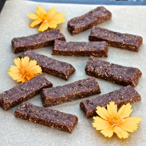 fruit bar