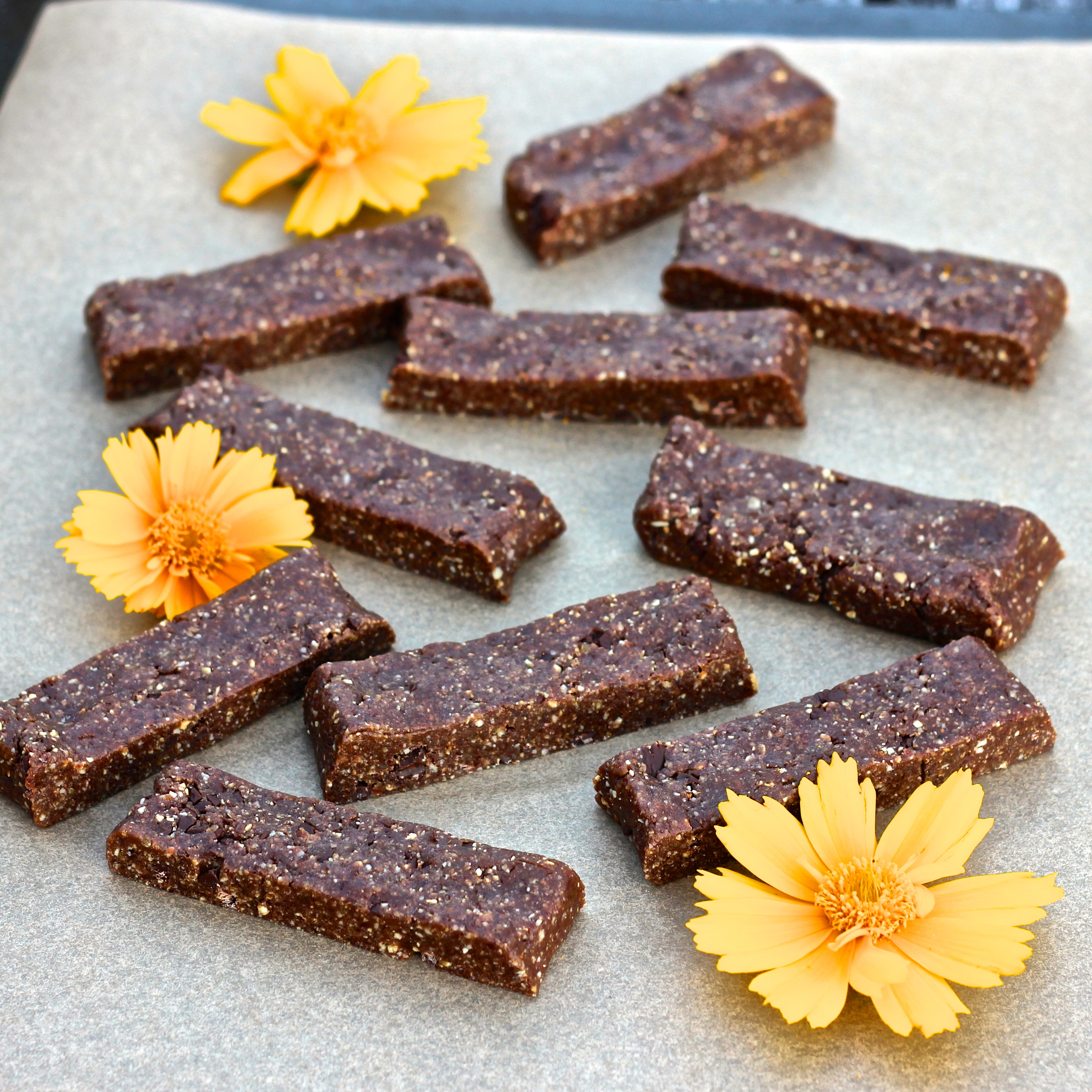 fruit bar