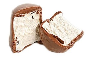 Chocolate coating machine for marshmallow
