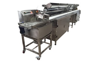 Automatic chocolate tempering mini chocolate enrober with cooling tunnel