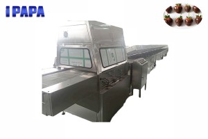 Chocolate coating machine for fruit