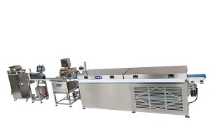 PAPA machine Energy bar production line